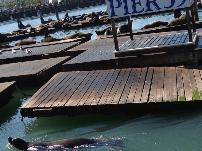 Pier 39